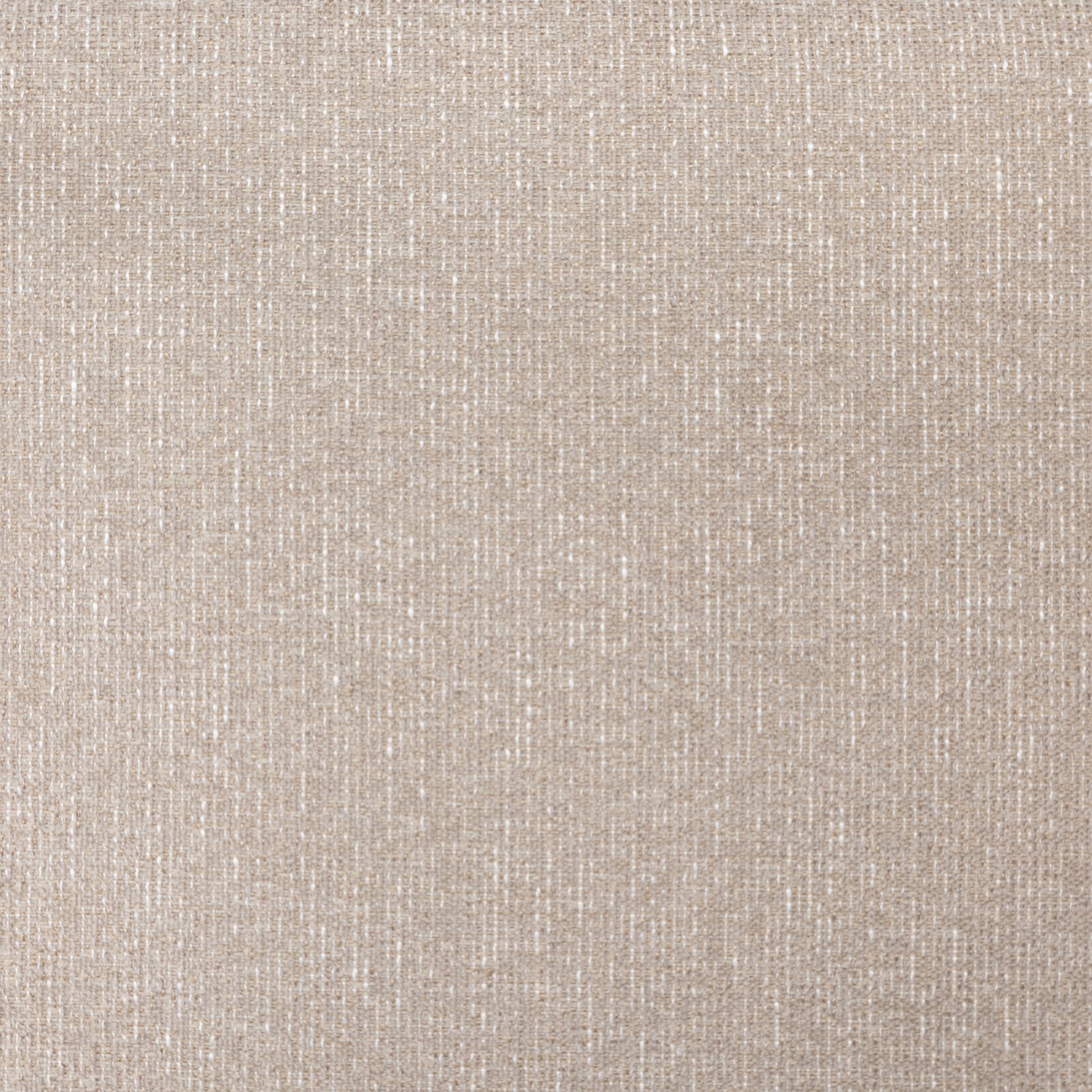 OPEN BOX - Carrie Dining Chair In Light Camel